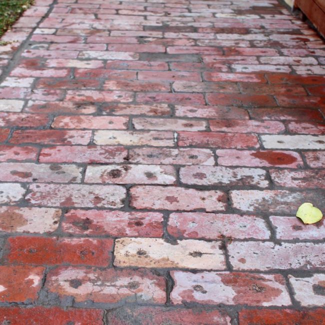 Landscaping Outdoor Area - Back Yard Transformation